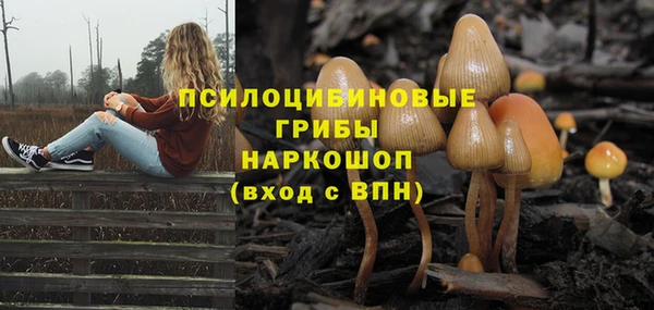 прущая мука Заводоуковск