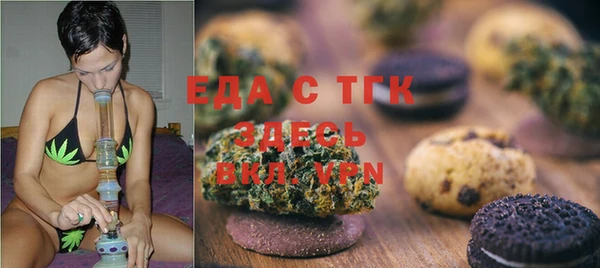 индика Ладушкин