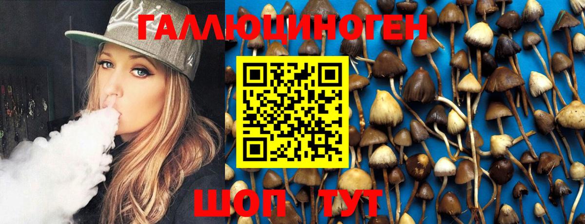 Галлюциногенные грибы Psilocybine cubensis Каменск-Шахтинский