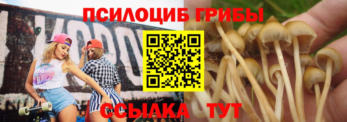 Галлюциногенные грибы GOLDEN TEACHER Каменск-Шахтинский